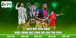 cách đọc biến động odds