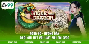 Rồng Hổ
