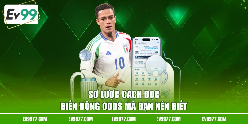 Sơ lược cách đọc biến động odds mà bạn nên biết