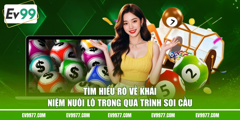 Tìm hiểu rõ về khái niệm nuôi lô trong quá trình soi cầu 