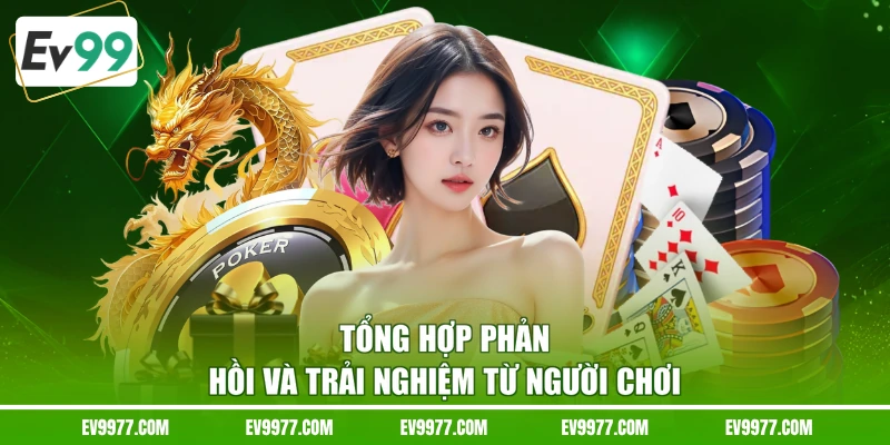 Tổng hợp phản hồi và trải nghiệm từ người chơi